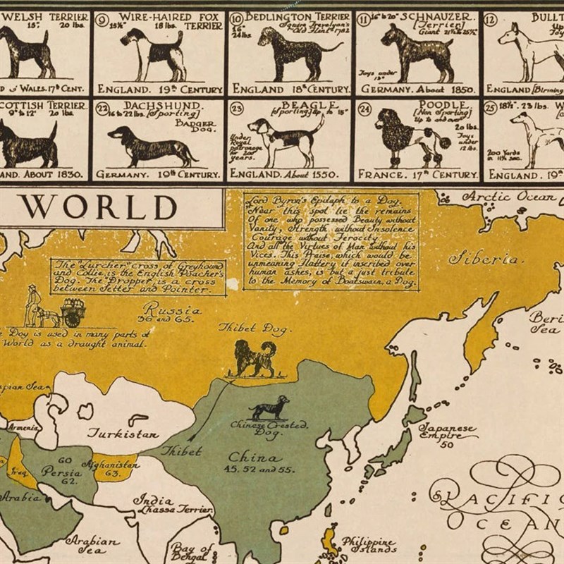 装饰画有框画挂画墙壁画版画复古怀旧美式世界各地的狗宠物
