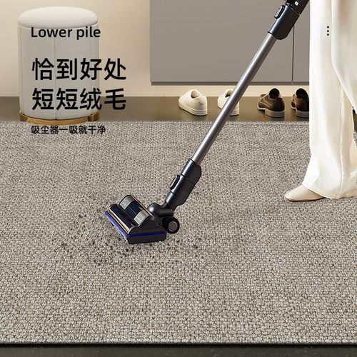 门垫家用进门地垫耐脏防滑室外地毯可定制门口脚垫免洗可擦玄关垫