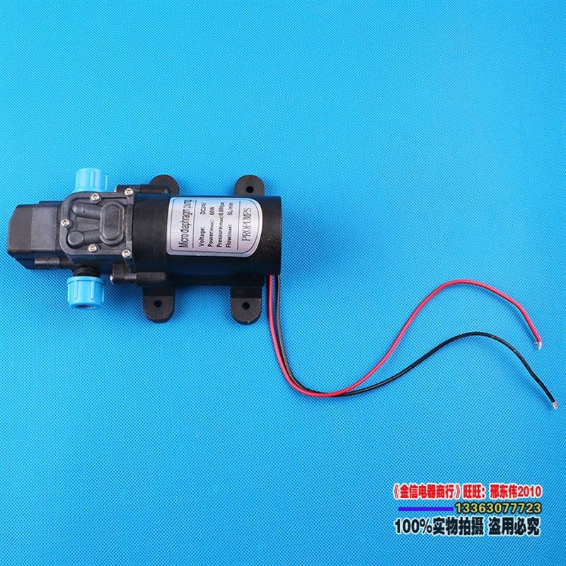 24V60W隔膜泵车载电动迷你自吸水泵增压泵洗车器微型水泵大功率