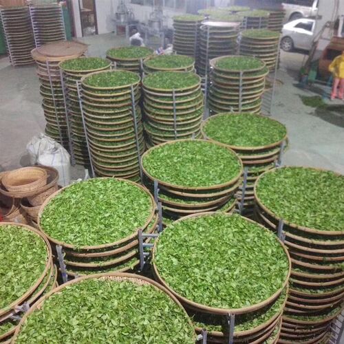 不锈钢竹筛竹制品竹编茶叶摊青架凉青架晾晒架制茶用具簸箕铁架