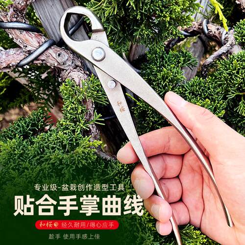 修枝剪球节剪盆景工具斜口剪叉枝剪树瘤树节球形钳盆景造型工具剪