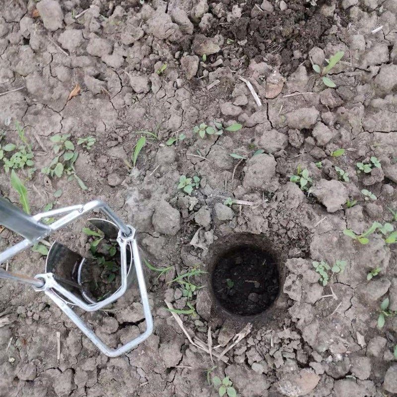 不锈钢移苗器移栽器大脚蹬舒适加密焊接补玉米苗耕种机械双11大促,鲜花速递/花卉仿真/绿植园艺,智能园艺用品,淘宝优惠券,粉丝福利购,淘宝优惠卷