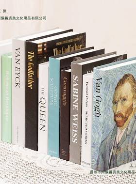 假书摆件装饰书仿真书摆件书本高级轻奢拍摄拍照道具书英文书模型