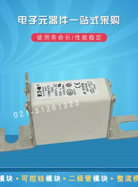 快速熔断器保险丝170M1458 1459 1460 1461 1462 1463 1464 1465