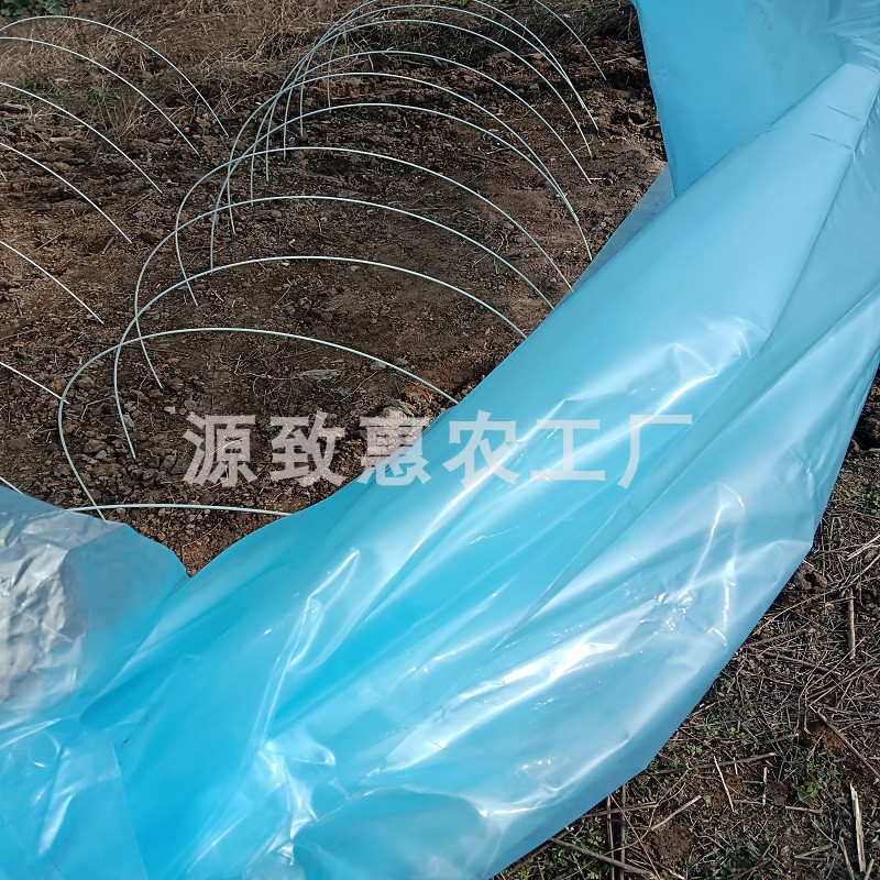 蓝色透明高透膜无滴膜保温保湿避雨棚小拱棚支架薄膜玻璃纤维棒