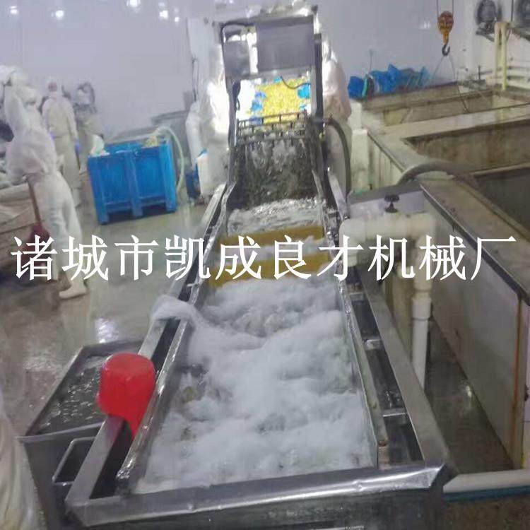 土豆清洗机杏子蔬菜清洗加工设备气泡式果蔬清洗机,厨房电器,其他商用厨电,淘宝优惠券,粉丝福利购,淘宝优惠卷