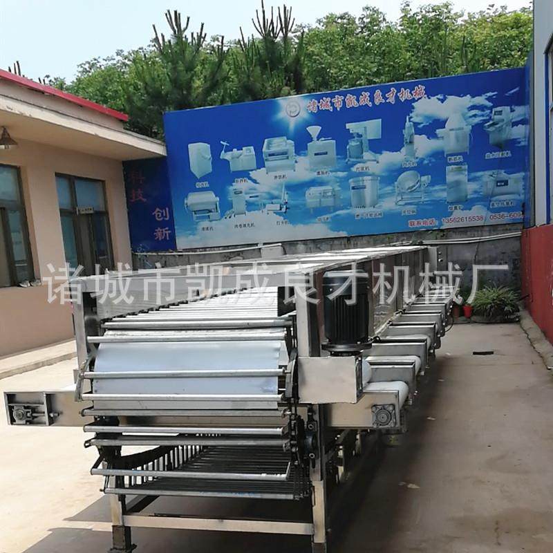 厂家专业生产猕猴桃选果机百香果重量分级机变频调速,厨房电器,其他商用厨电,淘宝优惠券,粉丝福利购,淘宝优惠卷