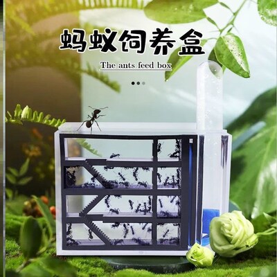蚂蚁生态箱大型蚁蚁巢蚂蚁城堡生态箱巨型蚁蚁巢蚂蚁巢穴亚克力巢