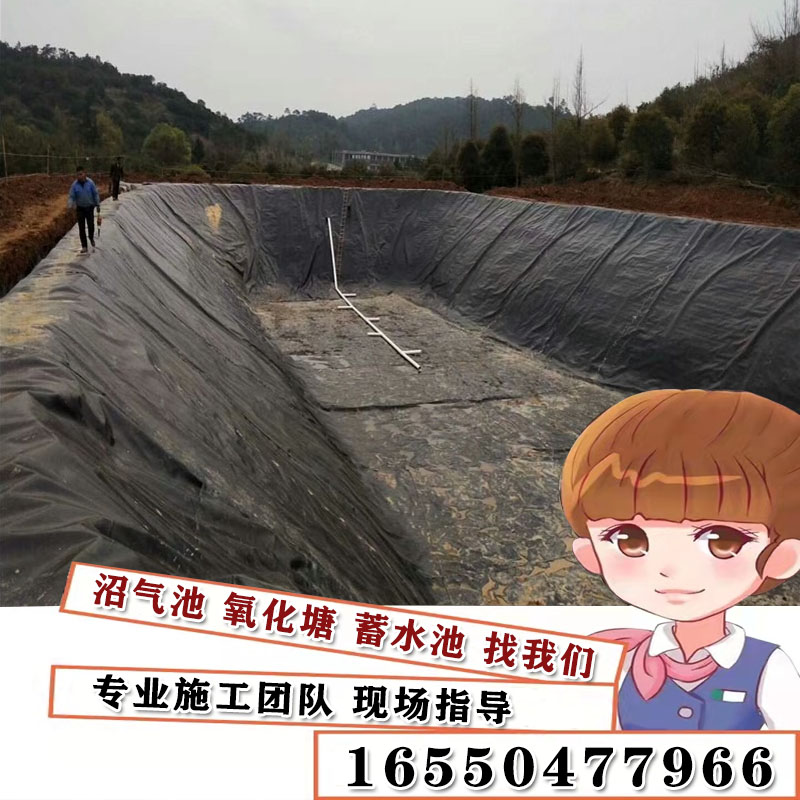 土工膜鱼塘养殖防渗膜猪场沼气池黑膜蓄水池复合土工膜两布一膜