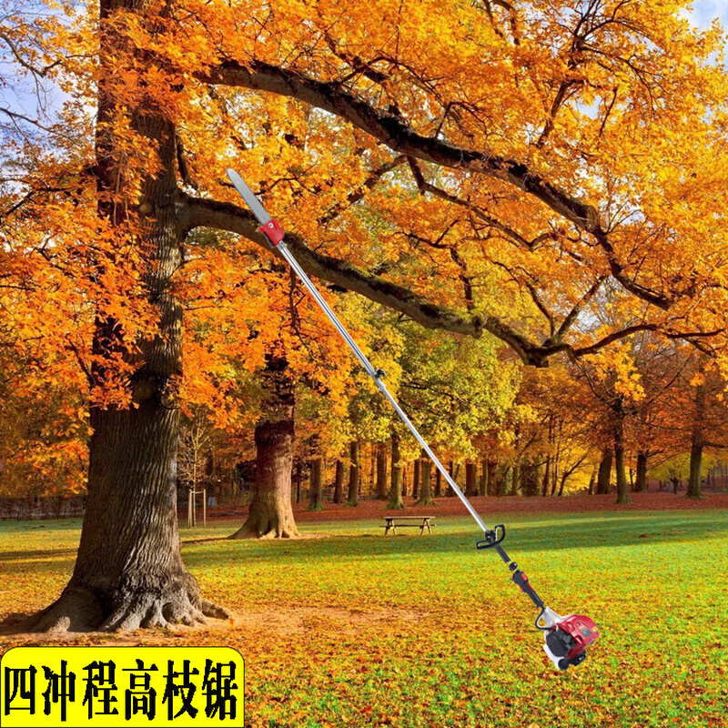园林修剪工具四冲程高枝油锯 可加长充电式电动高枝锯 高空修枝锯