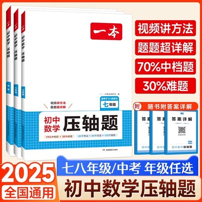 2025一本初中数学压轴题