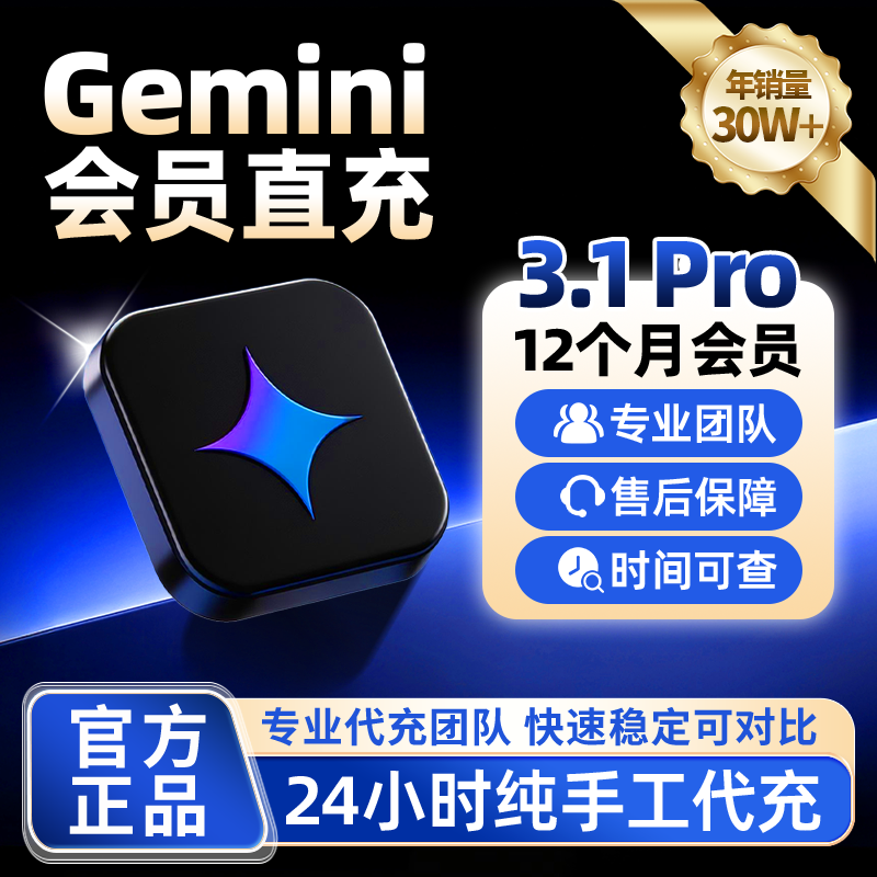 【Gemini3pro ！稳定不降智】Gemini pro3.1 3.0个人独立会员代充
