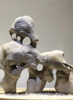 天然原石太湖石奇石观赏石鱼缸摆件假山石头景观石盆景园林灵璧石