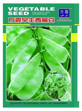 猪耳朵扁豆种子农家绿眉豆种孑高产阳台庭院爬藤蔬菜绿色蔬果扁豆