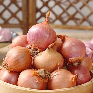正宗东北毛葱头鬼子葱珠葱小毛葱头大毛葱红葱头小洋葱新鲜蔬菜
