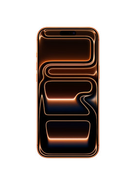 Apple/苹果 iPhone 17 Pro Max 手机