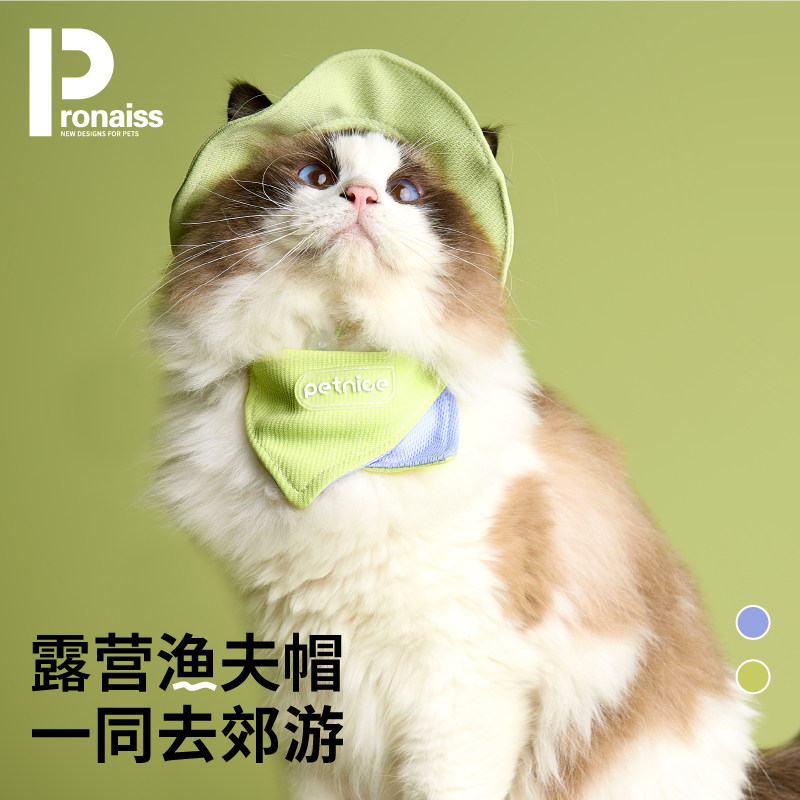 猫咪帽子露耳朵小型犬小狗防晒帽围巾头饰拍摄道具渔夫帽夏季遮阳,宠物/宠物食品及用品,帽子,淘宝优惠券,粉丝福利购,淘宝优惠卷