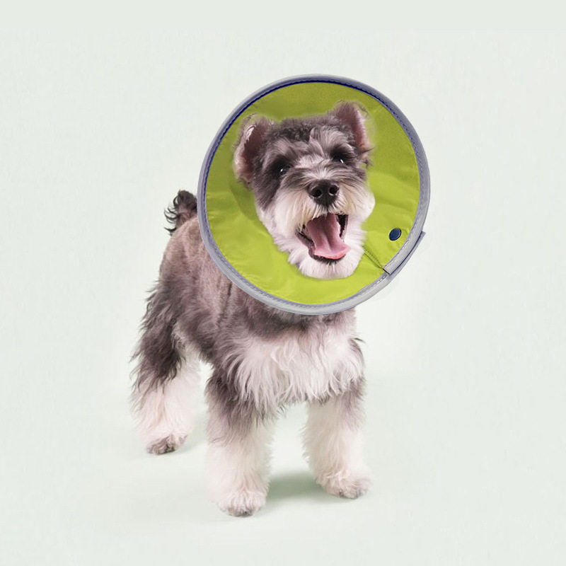 狗狗伊丽莎白圈可调节软布术后恢复防舔防抓护理项圈猫咪绝育卫生,宠物/宠物食品及用品,宠物伊丽莎白圈,淘宝优惠券,粉丝福利购,淘宝优惠卷