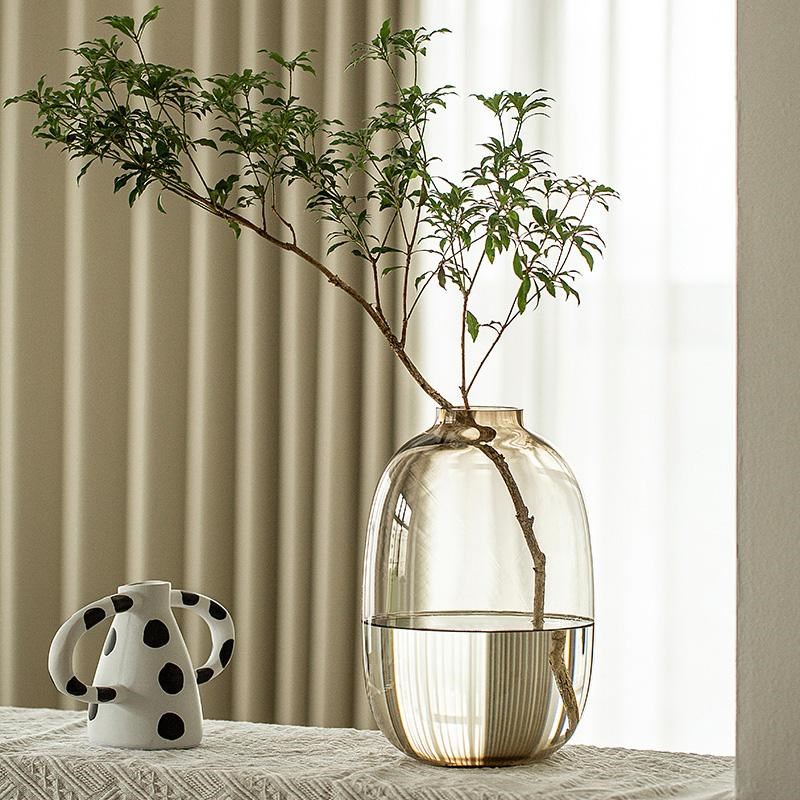 玻璃花瓶摆件客厅插花高级感透明简约大肚花器马醉木鲜花水养水培