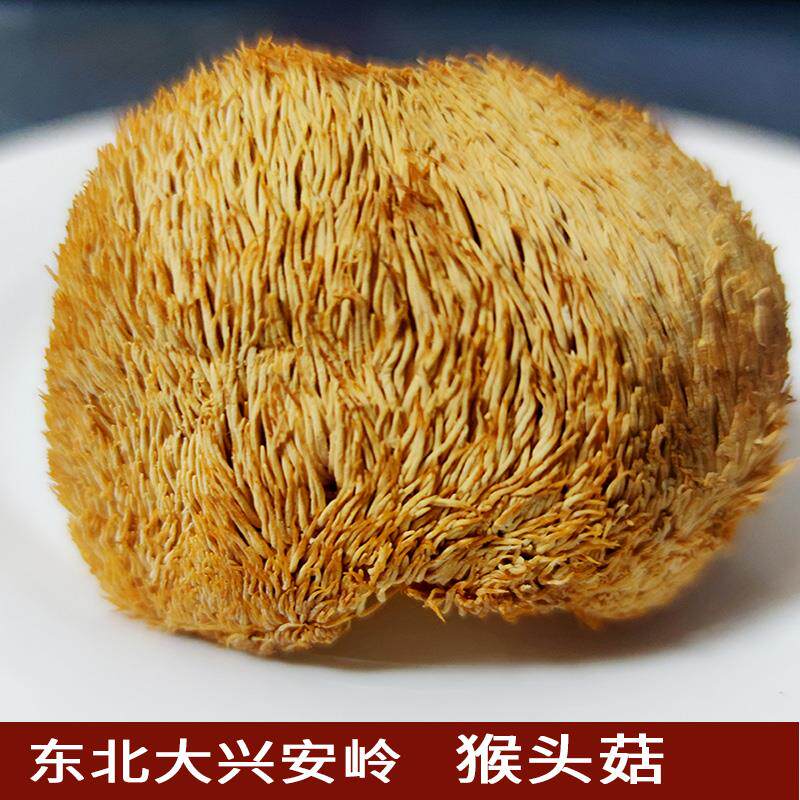 东北特产猴头菇黑龙江大兴安岭漠河特产今年新货猴头菇500克包邮