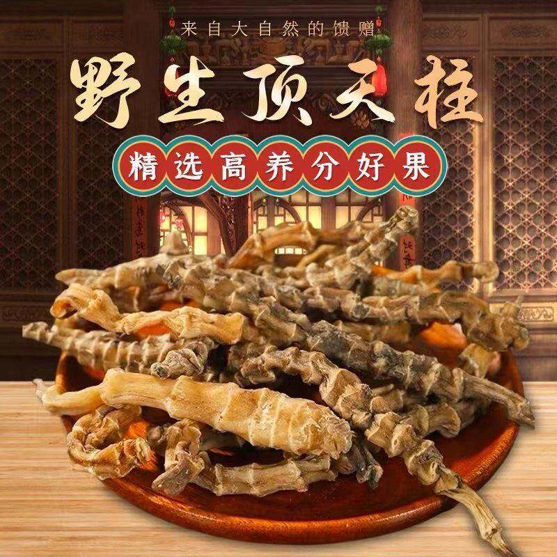 地参天柱特产云南野生虫草泡茶不老草起阳草正宗煲汤泡酒炖汤正宗