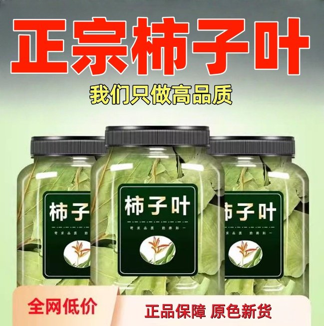 柿子叶中药材500g干柿子叶新鲜干货可打柿子叶粉柿叶霜后柿子树叶,茶,玉米须茶,淘宝优惠券,粉丝福利购,淘宝优惠卷