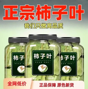 柿子叶中药材500g干柿子叶新鲜干货可打柿子叶粉柿叶霜后柿子树叶
