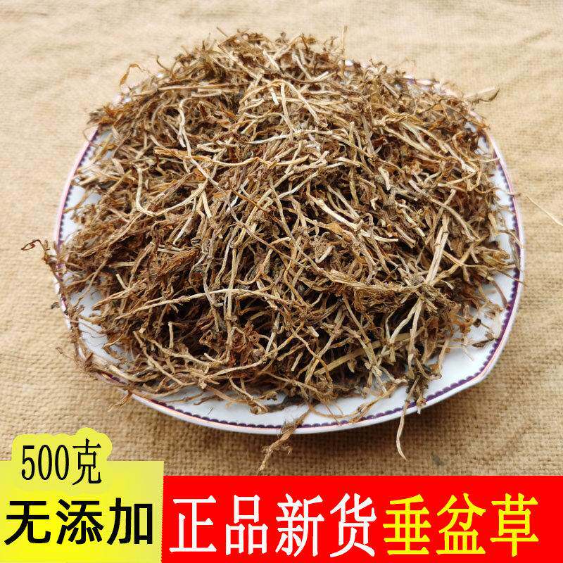 中药材野生垂盆草 无硫垂盆草 500g包邮