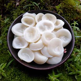 长白山精选玉木耳东北特产吉林农业大学 包邮 白玉木耳干 干货500g