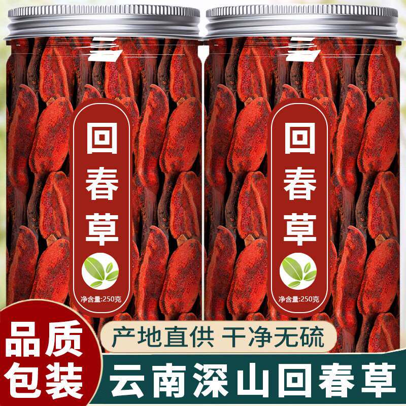 回春草野生正品云南深山新鲜淫羊藿肉苁蓉巴戟天不老草泡茶的功效