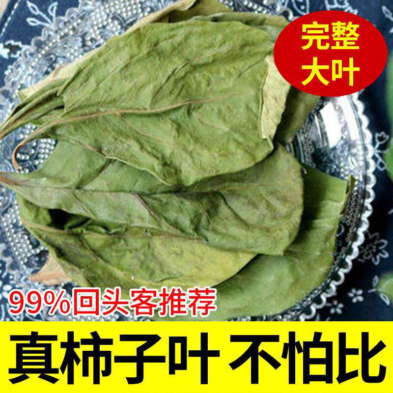 霜后柿子叶中药材官方旗舰店野生新鲜柿子树叶子干茶泡水粉