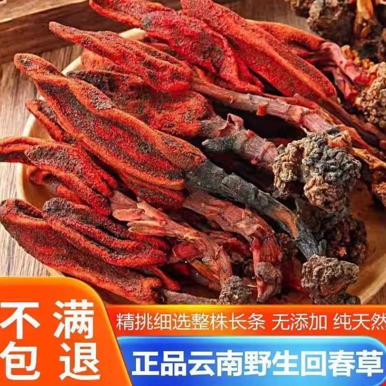云南深山野生回春草中药材500克顶天柱不老草男性滋补泡茶水酒料