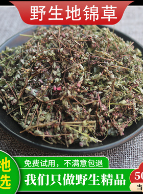 野生地锦草中药材新货无硫奶浆草铺地锦血见愁斑铺地500g包邮