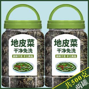 地皮菜干货甘肃土特产新鲜地软地达地衣木耳雷公菌非免特级野生洗