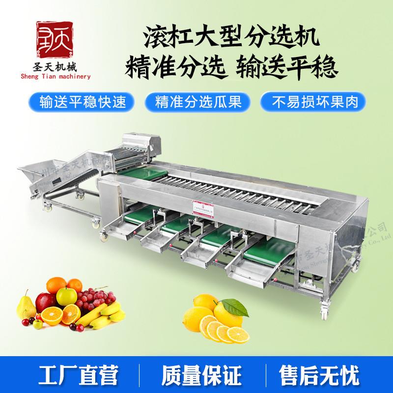 龙眼荔枝分选机商用 土豆西红柿分级机工厂用滚杠式芒果选果机
