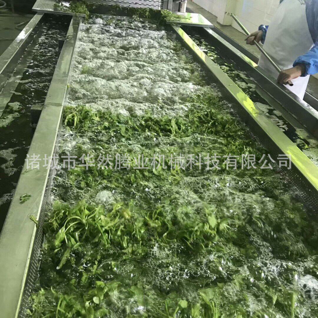 自动蔬菜清洗 炊事设备厨房设备 果蔬加工厂设备 脱水蔬菜清洗机
