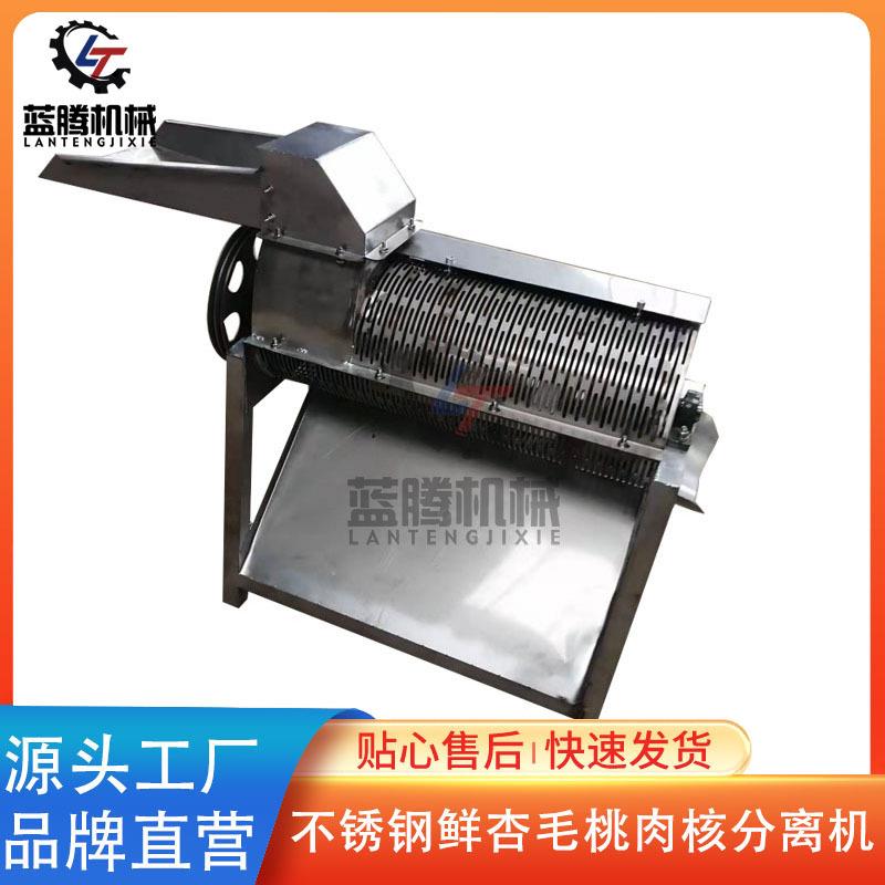 供应不锈钢黄桃果核分离机小型鲜杏枇杷加工去核机青梅脱核机
