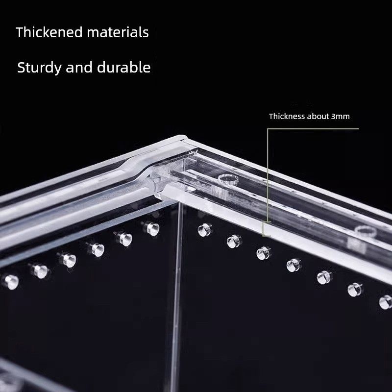 亚克力爬宠饲养箱寄居蟹蛇睫角守宫角蛙蜥蜴蜘蛛甲虫蜗牛饲养盒,宠物/宠物食品及用品,爬宠缸/箱,淘宝优惠券,粉丝福利购,淘宝优惠卷