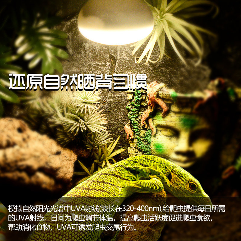 Rep-Shop爬虫日灯UVA陆龟蜥蜴爬宠乌龟日间饲养箱加热保温灯
