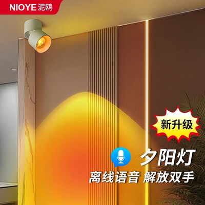 夕阳落日灯氛围灯智能语音玄关装饰画客厅过道网红明装日不落射灯