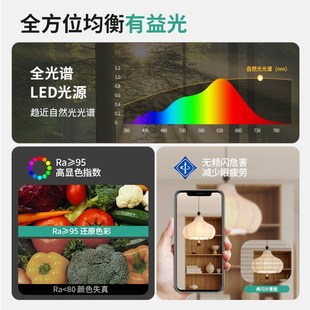 至御法式中古风餐厅布艺吊灯复古花纹实木卧室衣帽间吧台栗子灯