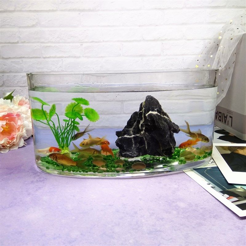 椭圆形直筒玻璃鱼缸超白玻璃无粘接玻璃缸乌龟缸简约桌面鱼缸出口