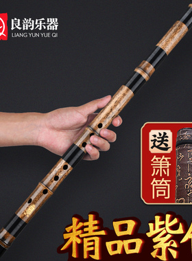 优选短萧乐器专业演奏初学入门素紫竹洞箫笛F正反手八孔G调一节古