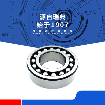 瑞典2302 2303  2304 2305 2306 2307 2308 2309E-2RS1TN9轴承