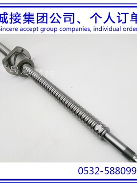 THK滚珠丝杠BTK1006V-2.6 BTK4010-5.3ZZ+2000LT梯形丝杠螺母