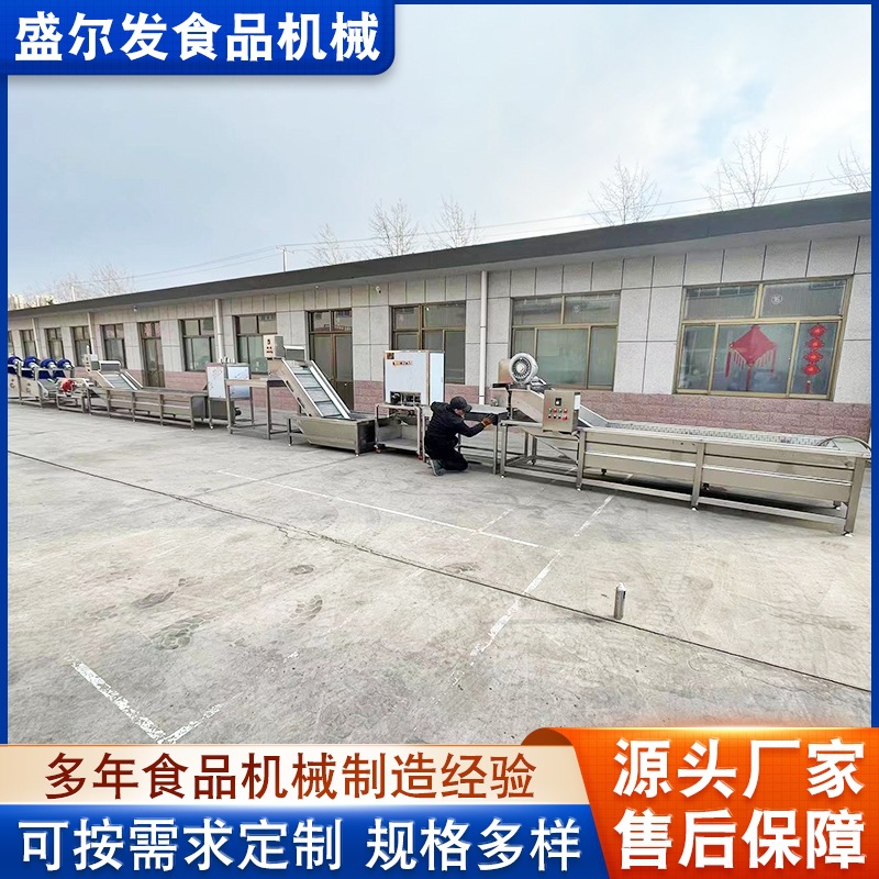 蔬果片前置加工处理流水线 香蕉干橙子片加工输送设备 盛尔发厂家