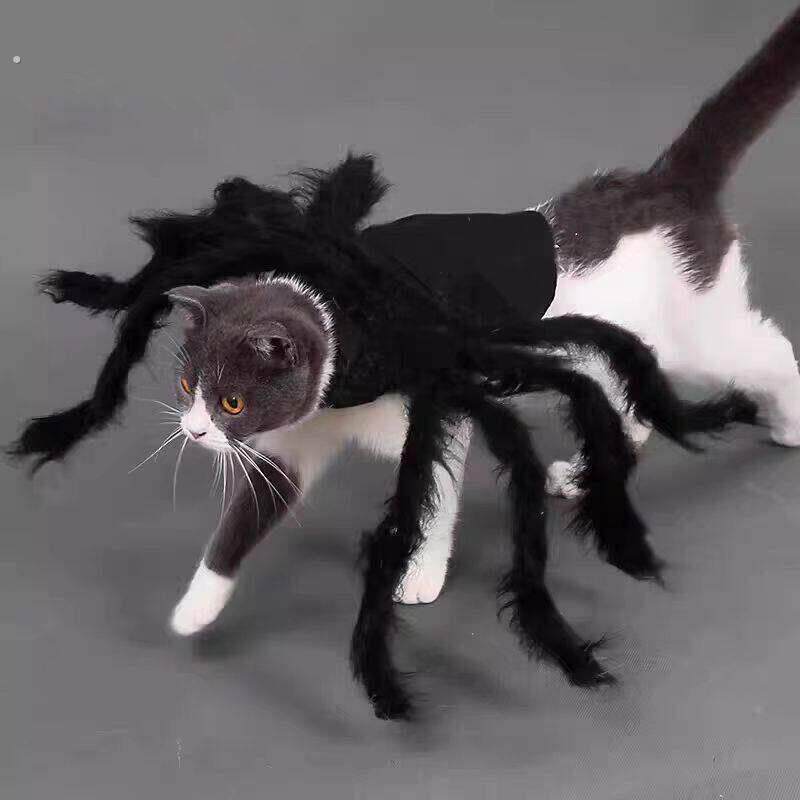 猫咪蜘蛛衣服宠物蜘蛛衣小狗猫咪恐怖仿真毛绒蜘蛛变身装派对装扮
