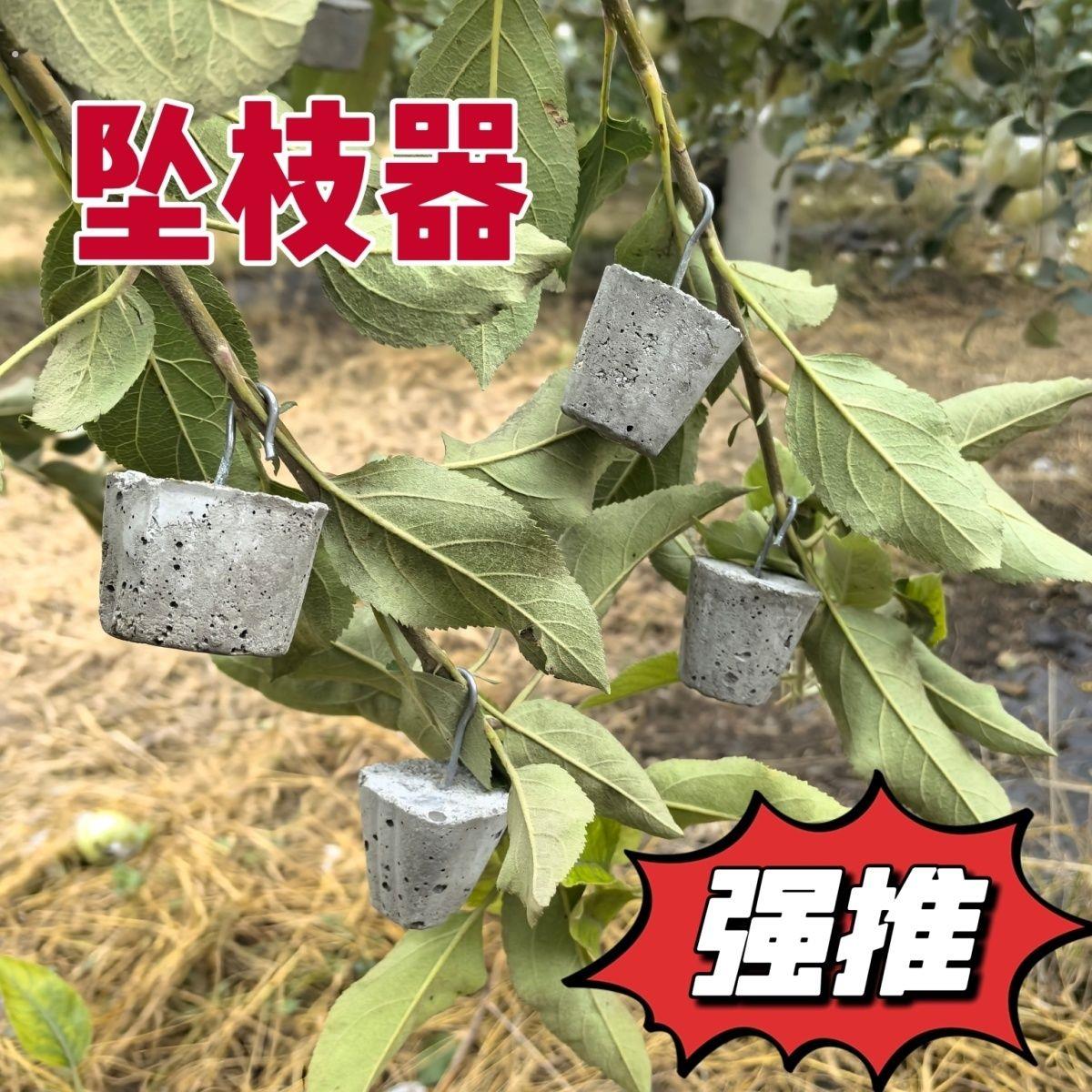 果树拉枝吊坠坠枝器当年生小枝拉枝坠枝器果树拉枝开角器