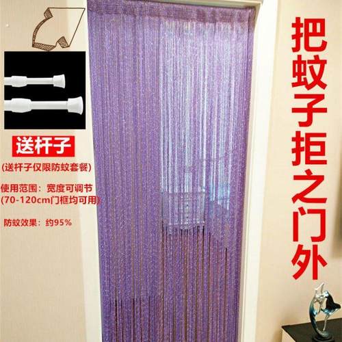 防蚊门帘流苏防蚊线帘沙门帘202新款夏天门帘防蚊自粘贴玄关装饰