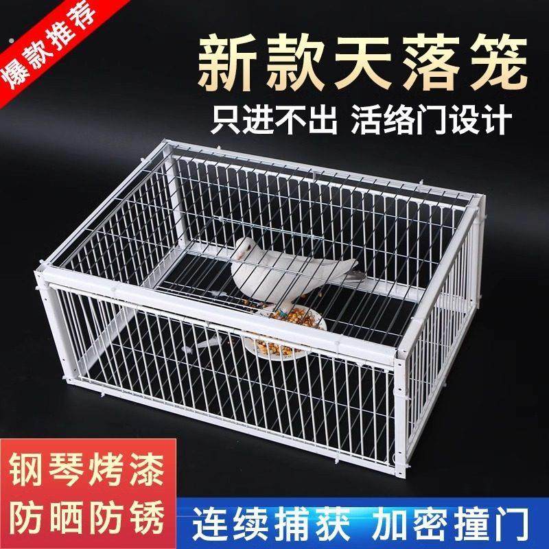 新款天落笼鸽子笼加厚加密自动收鸽子神器活络门撞门户外祇进不出